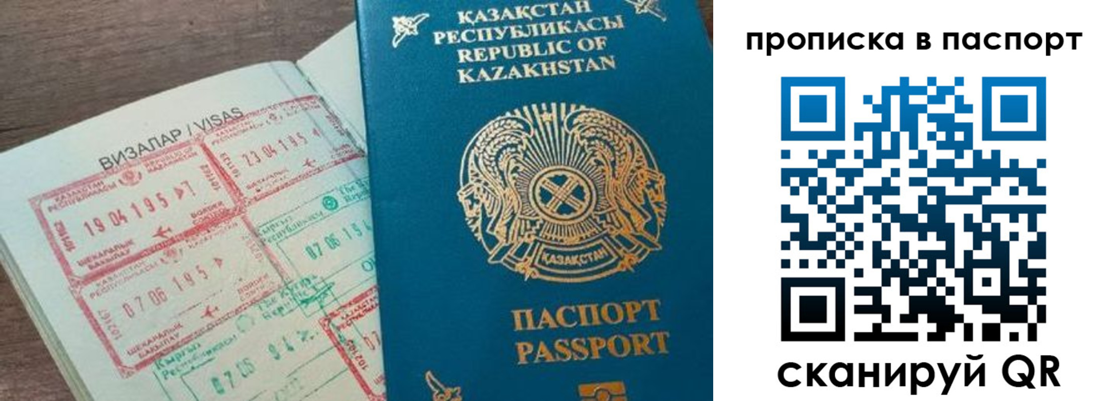 прописка поиск в Волгодонске